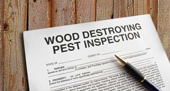 Florida Wood-Destroying Organism WDO Inspection