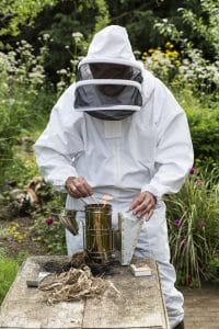 Bee Removal Services in Homestead