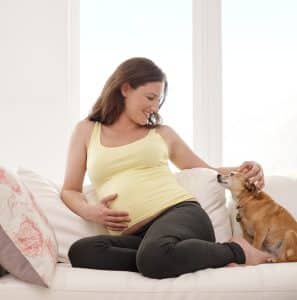 Pest Control and Pregnancy: Ensuring Safety for You and Your Baby