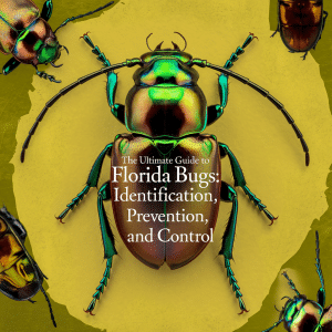 The Ultimate Guide to Florida Bugs: Identification, Prevention, and Control